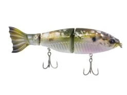 Googan Squad Limited Edition Jekyll Contender 8 Googan Squad Limited Edition Jekyll Contender -Cheap Fishing Shop googansquad shimmershad contender 10 01 ggs 10016h