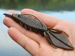 X Zone Lures Pro Series Adrenaline Bug -Cheap Fishing Shop lifestyle adrenaline andrewnordbye 01