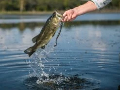 Googan Baits Blazin' Worm -Cheap Fishing Shop lifestyle blazinworm googanbaits bt6a4961