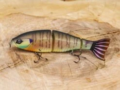 Googan Squad Contender -Cheap Fishing Shop lifestyle contender 01