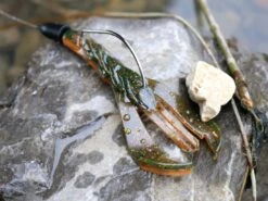 Karl's Amazing Baits Hoss Craw 3.8" -Cheap Fishing Shop lifestyle hosscraw andrewnordbye 02