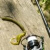 Karl's Amazing Baits Hustler Worm -Cheap Fishing Shop lifestyle hustlerworm 04