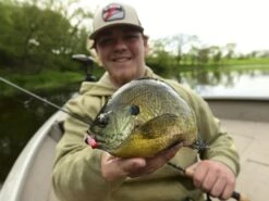 Z-Man Larvaz -Cheap Fishing Shop lifestyle larvaz zman fishingshot 1