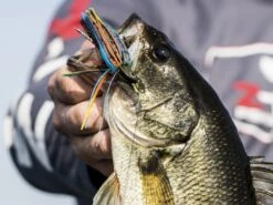 Z-Man Midwest Finesse Swim Jig -Cheap Fishing Shop lifestyle midwestfinesseswimjig zman bluegill 2