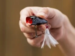 Strike King KVD Splash Popper -Cheap Fishing Shop lifestyle splash strikeking 03