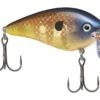 Strike King KVD 2.5 Wake Bait -Cheap Fishing Shop strikeking bluegill kvdwakebait 10 01 stk 10015a 1