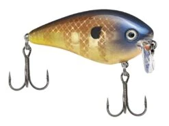 Strike King KVD 2.5 Wake Bait