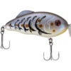 Strike King Hybrid Hunter Crankbait 2 Strike King Hybrid Hunter Crankbait -Cheap Fishing Shop strikeking hybridhunter 10 01 stk 10077c 1
